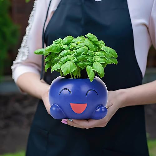 Miniatura 3 de BEMKWG Lindas macetas de cerámica divertidas macetas de suculentas maceta de interior para suculentas plantas vivas de casa macetas con agujeros de