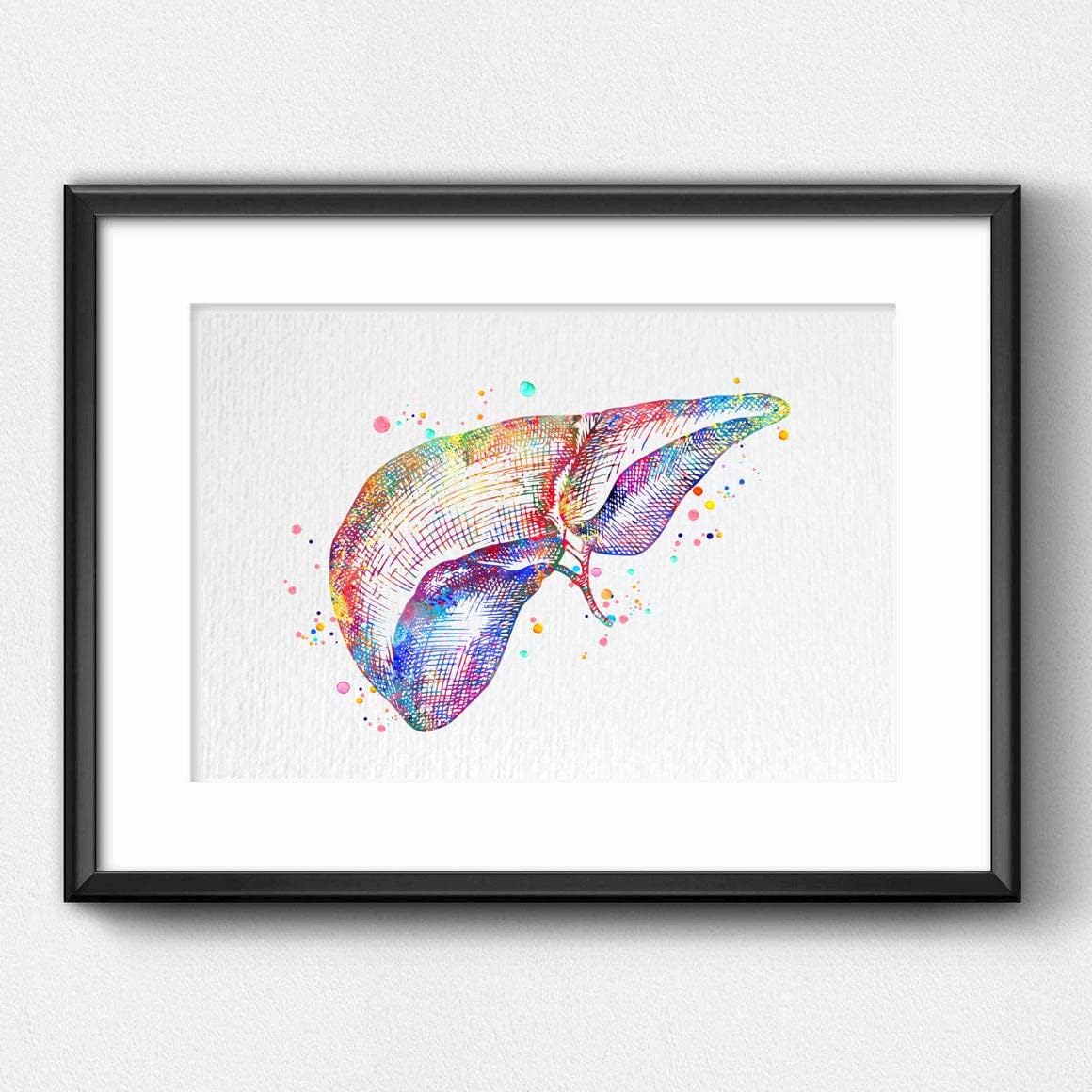 Dignovel Studios 24X30 Unframed Liver Anatomy Human Organs Gastroenterology Clinic Liver Medical Science Watercolor Art Print Poster Wall Hanging Decor DN785