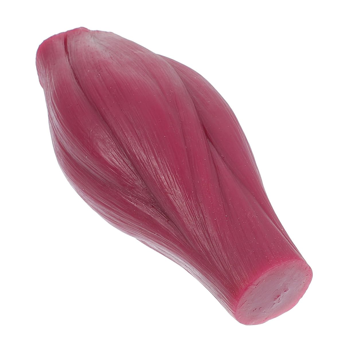 HEMOTON Modèle Musculaire Pédagogique en Silicone de 1 Livre, Représentation Réaliste et Éducative pour L'étude du Corps Humain