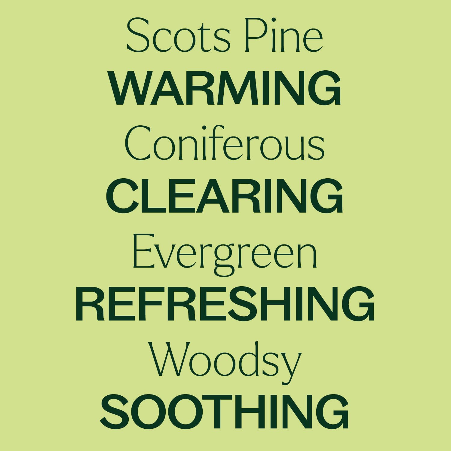 Plant Therapy Scots Pine Essential Oil 10 mL (1/3 oz) Pure, Undiluted image 4
