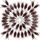 Aerbee Prank Fake Roaches 100PCS, Lifelike Fake Cockroaches Gag Toys Plastic Cockroaches, High Simul