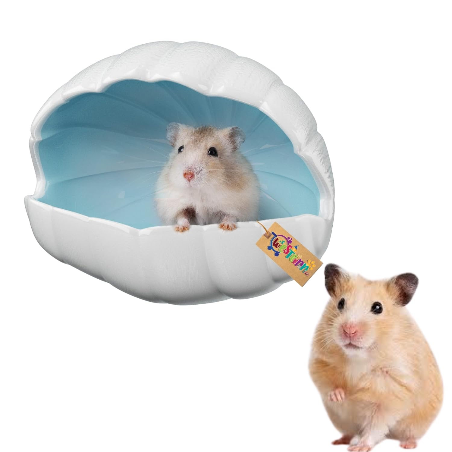 Western Era Hamster Ceramic Hideout House, Pearl Shell Shaped Cage Accessory | Cool Sleeping Hut for Hamsters, Gerbils, Mice | Shelter | Ventilated, Cute Design | Stress Relief House for Small Pet-image-26