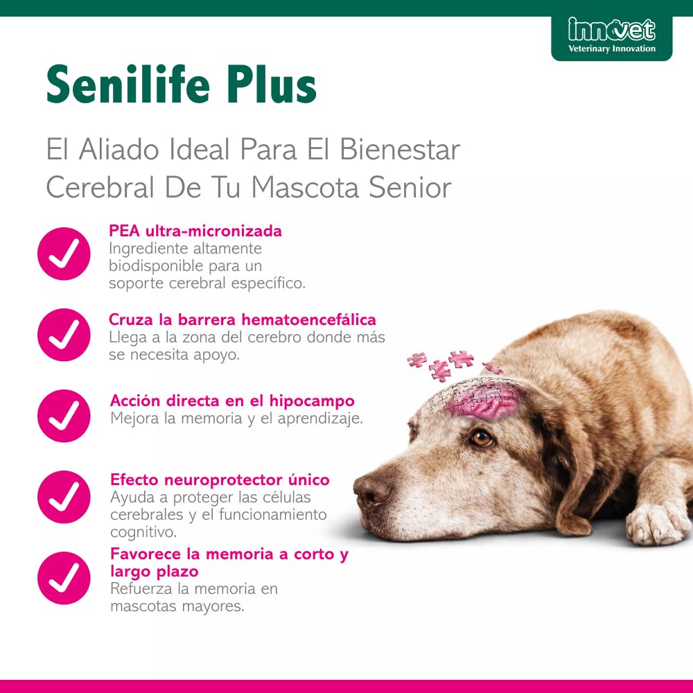 Innovet Senilife Plus 60 Cápsulas Monodosis – Apoyo al Bienestar Cerebral en Perros y Gatos Sénior – Vitaminas Perros Mayores Ayuda a Mantener el Equilibrio Cognitivo y la Vitalidad Mental Natural