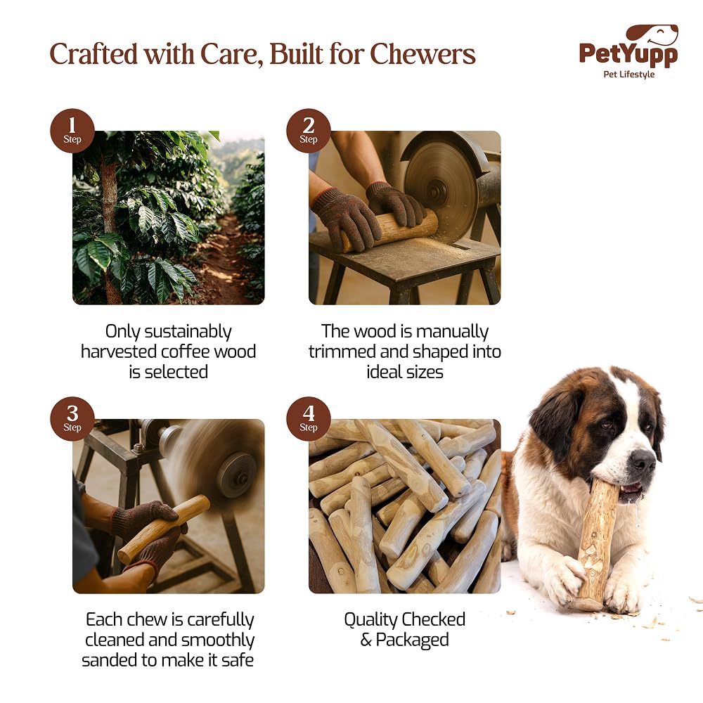 Juguete masticable para perros de madera de café 100 % natural, grande, paquete de 2, juguete duradero para masticadores agresivos, promueve la salud dental, reduce el sarro y es seguro para