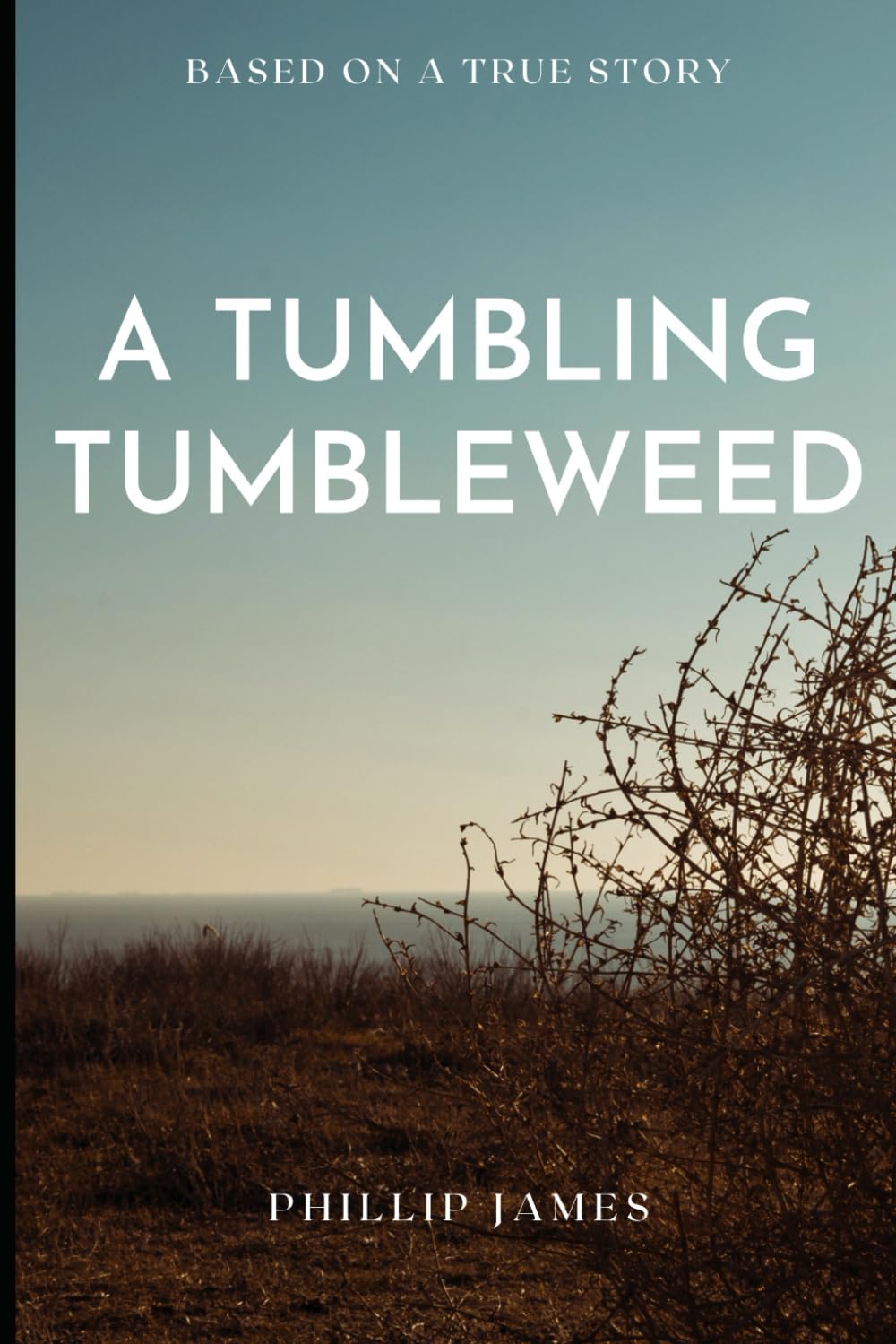 A Tumbling Tumbleweed