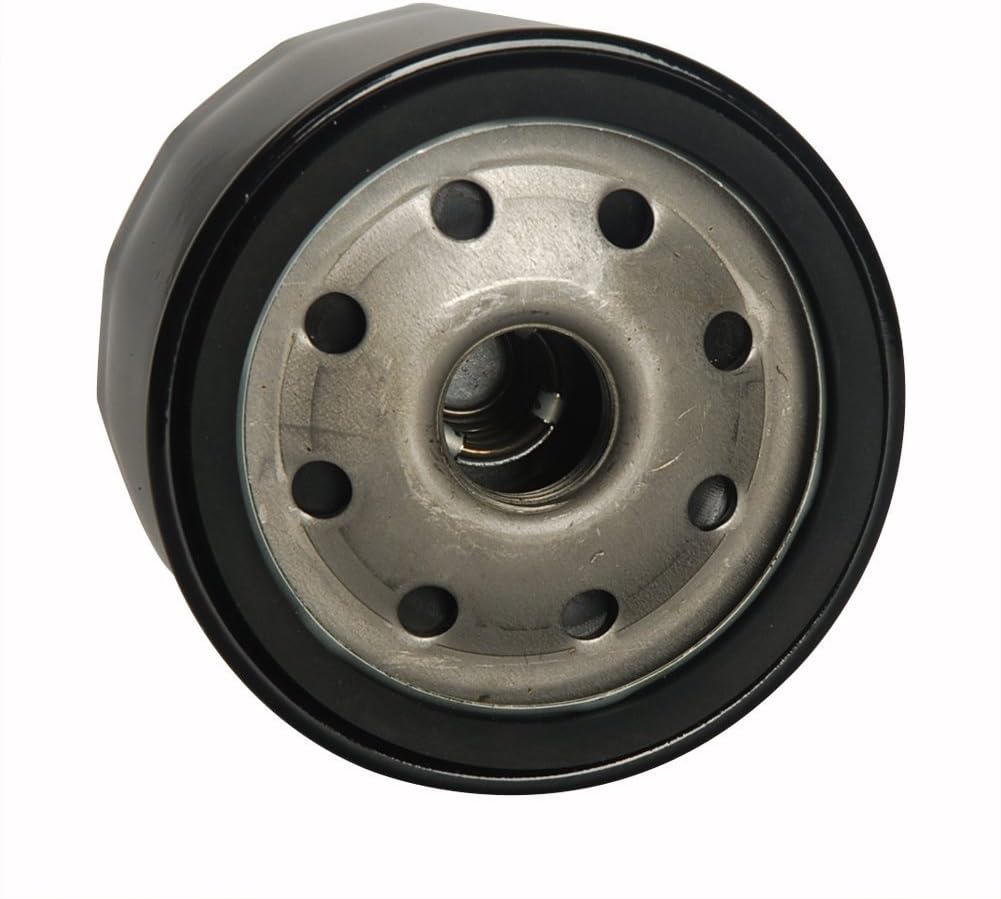 HIFROM Tune-Up Kit 793569 793685 Air Filter/Pre Filter 696854 Oil Filter with Spark Plug Replacement for Intek Series 20-21 Gross HP Lawn Mower Tractor : Patio, Lawn & Garden