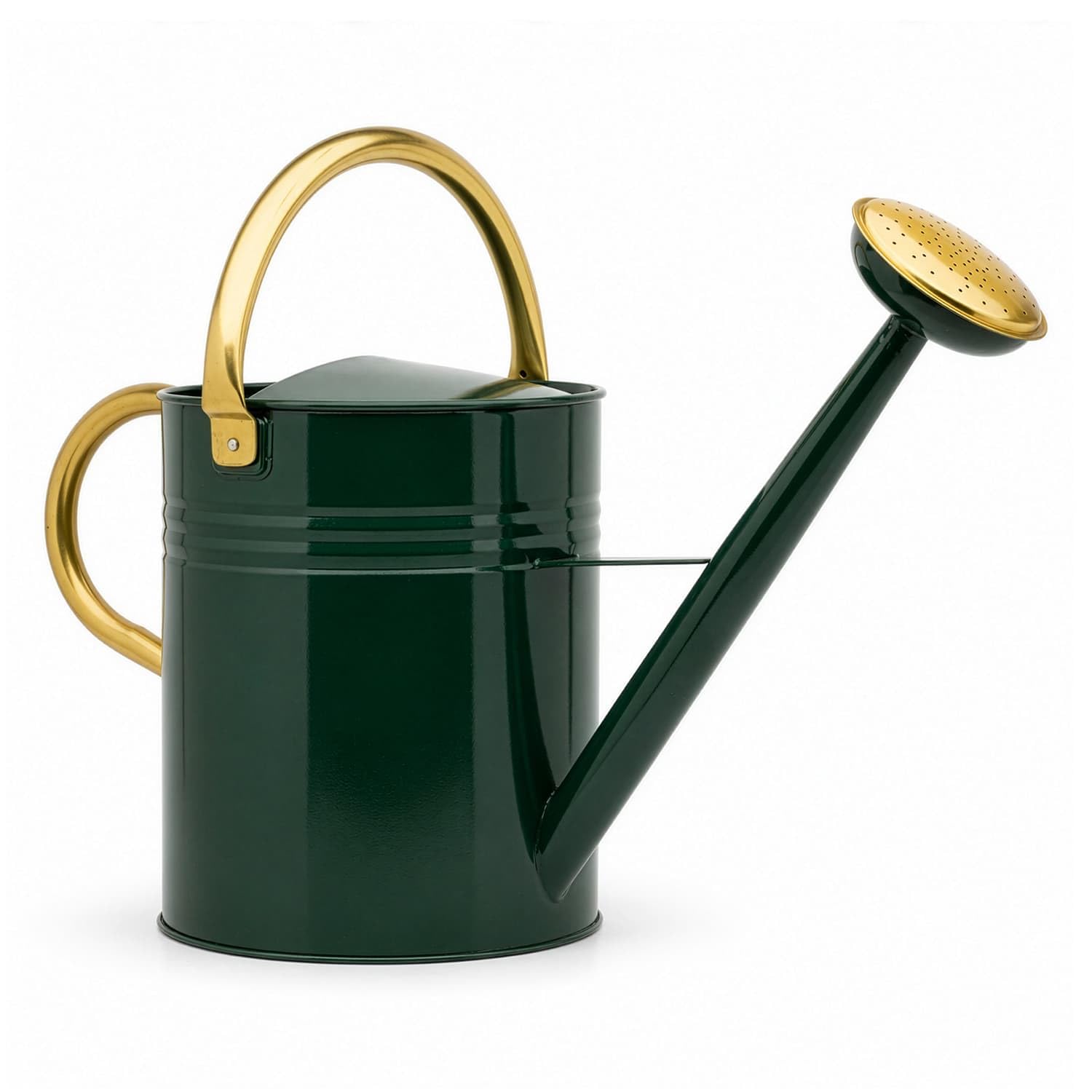 CKB LTD Annaffiatoio da esterno, grande, 9,5 l, in acciaio zincato di colore verde scuro, con rosa rimovibile e manico regolabile per grandi piccoli giardini, fiori e piante, resistente