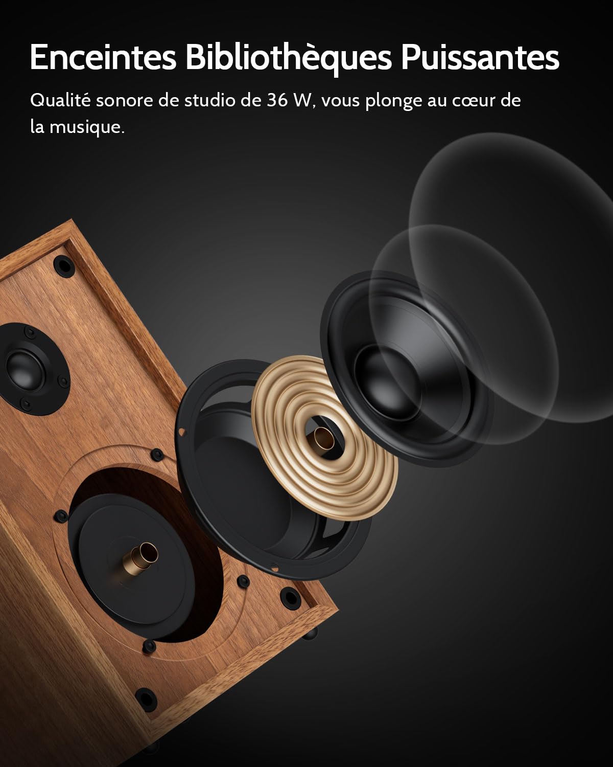 1 BY ONE Tourne-Disque Vinyl Bluetooth​ Premium avec Cartouche Magnétique, Enceintes 36 Watts à Excellent Rapport Qualité-Prix