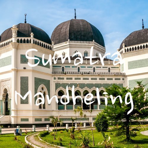 Ethiopian Yirgacheffe And Sumatra Mandheling, Whole Bean Coffee Bundle #TOP2