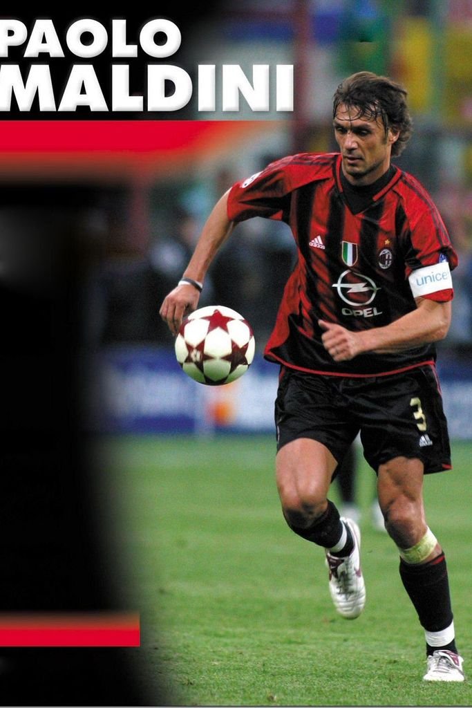 Paolo Maldini Football Soccer Stars Spun Silk Fabric Cloth Wall