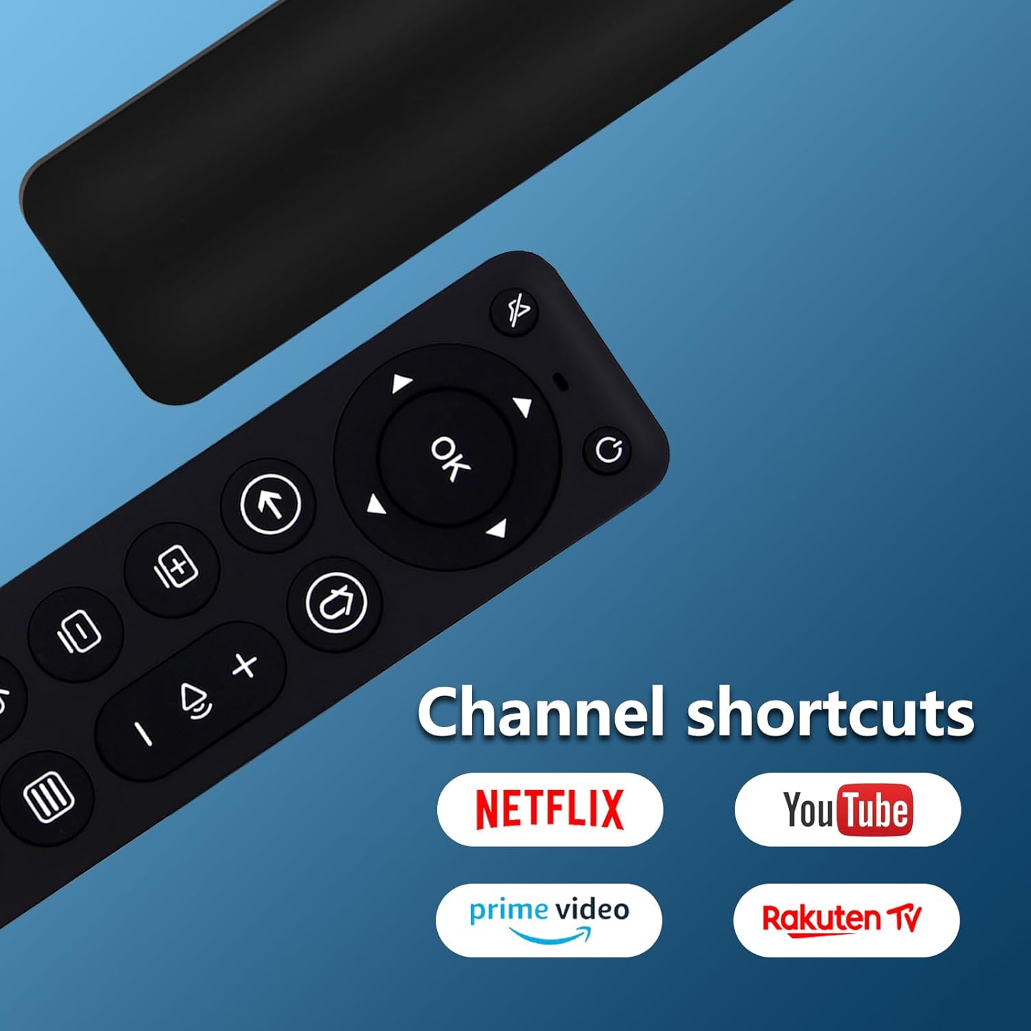 Terloogee UK-RC-G013 remote control highlighting streaming shortcut buttons