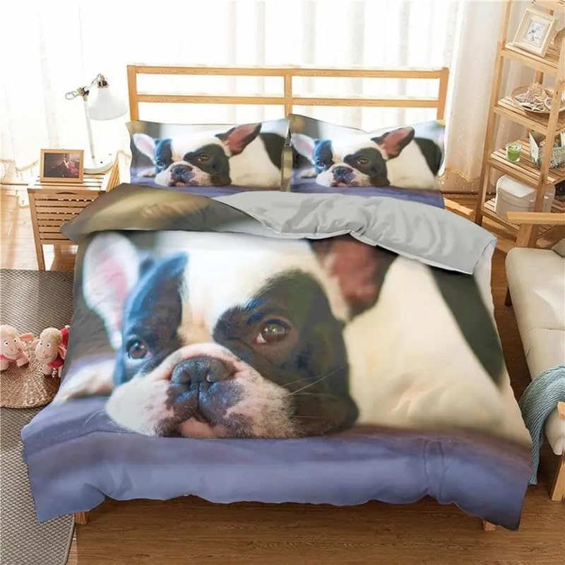 Housse de couette 240 x 260 Pitbull pour transformer la décoration de votre chambre d'adulte