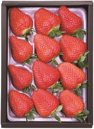 [期間限定]サンベリー蒲郡いちご「ゆめのか」(12個入)[2026年2月1日〜2026年2月28日配送]