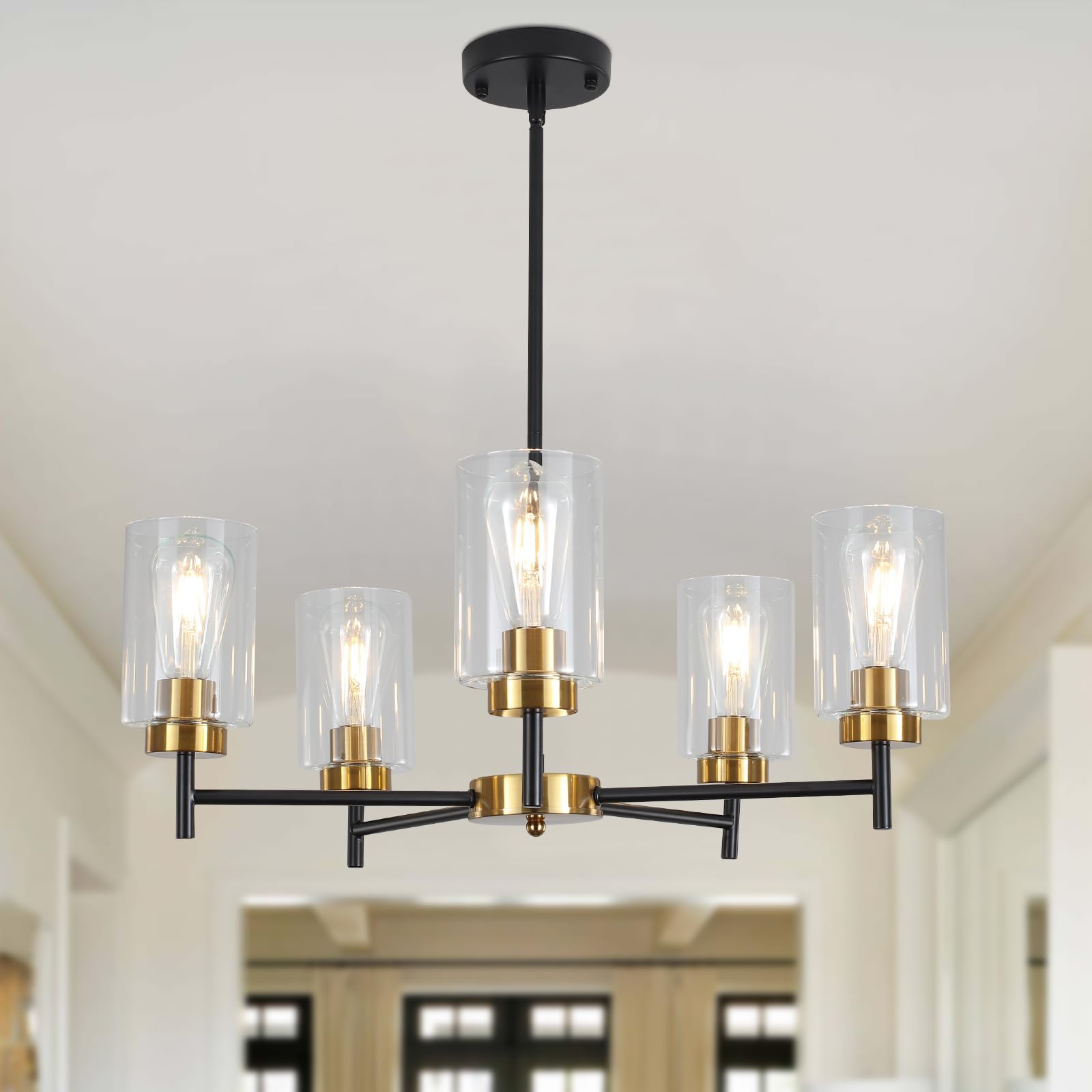 5 Lights Black and Gold Modern Farmhouse Chandeliers with Clear Glass Shades, Dining Room Light Fixture, Industrial Large Ceiling Hanging Pendant Light for Living Room,Bedroom,Kitchen,Foyer