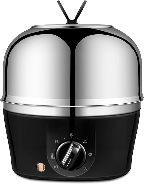 QualityLife Electric Egg Cooker with 9-Egg Capacity