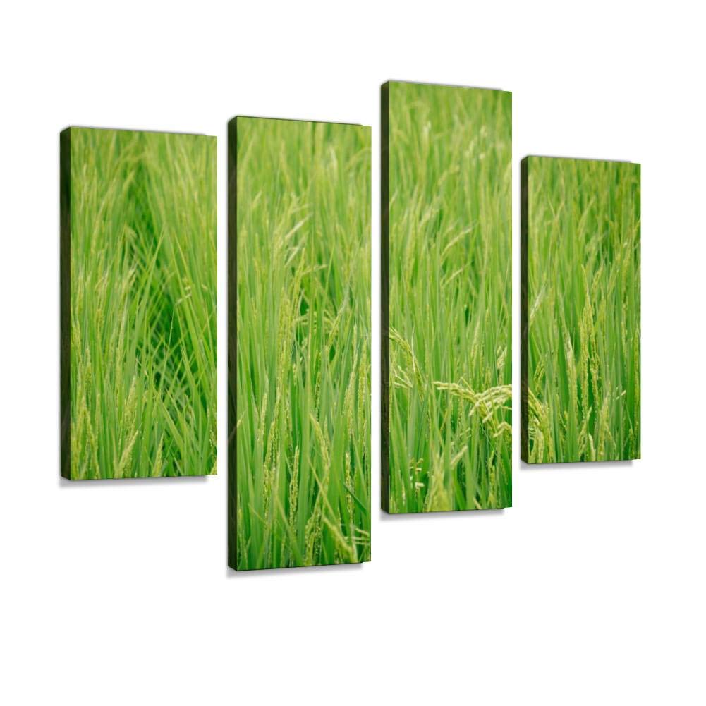 Amazon Co Jp アートパネル あおあおしく茂る稲の写真田んぼ 稲 稲作 農家インテリア 絵画 壁掛け ポスター キャンバス 部屋飾り アート 壁キャンバス 壁飾り 壁キャンバス絵画 おしゃれ 北欧 新築飾り お祝い 贈り物 ホーム キッチン