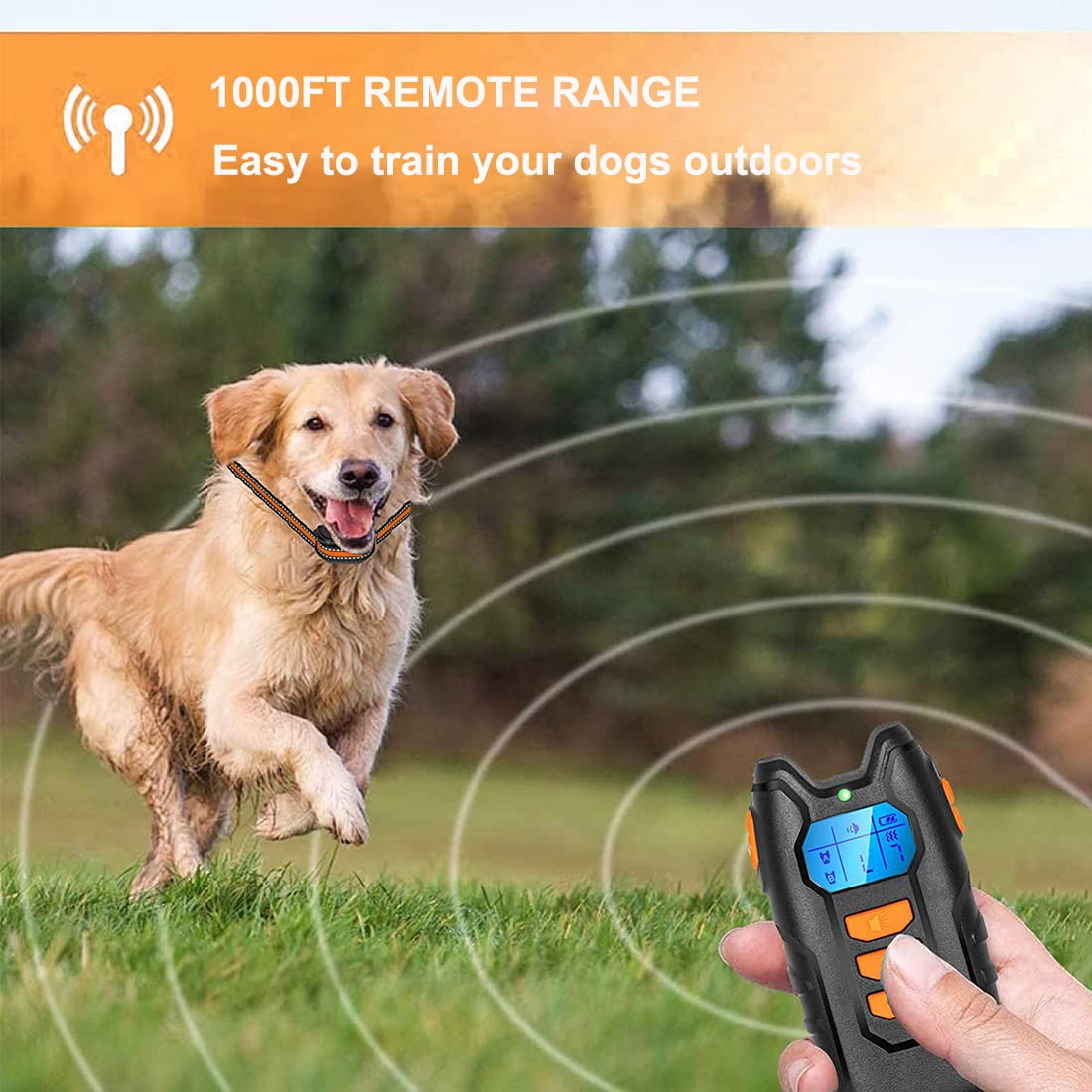 Dog Collar Dog Trainers That Come To Your Home Near Me Pets At