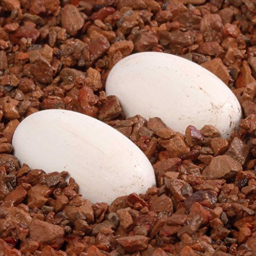 Pangea Hatch Premium Reptile Egg Incubation Substrate (1 lb) (Package May Vary)