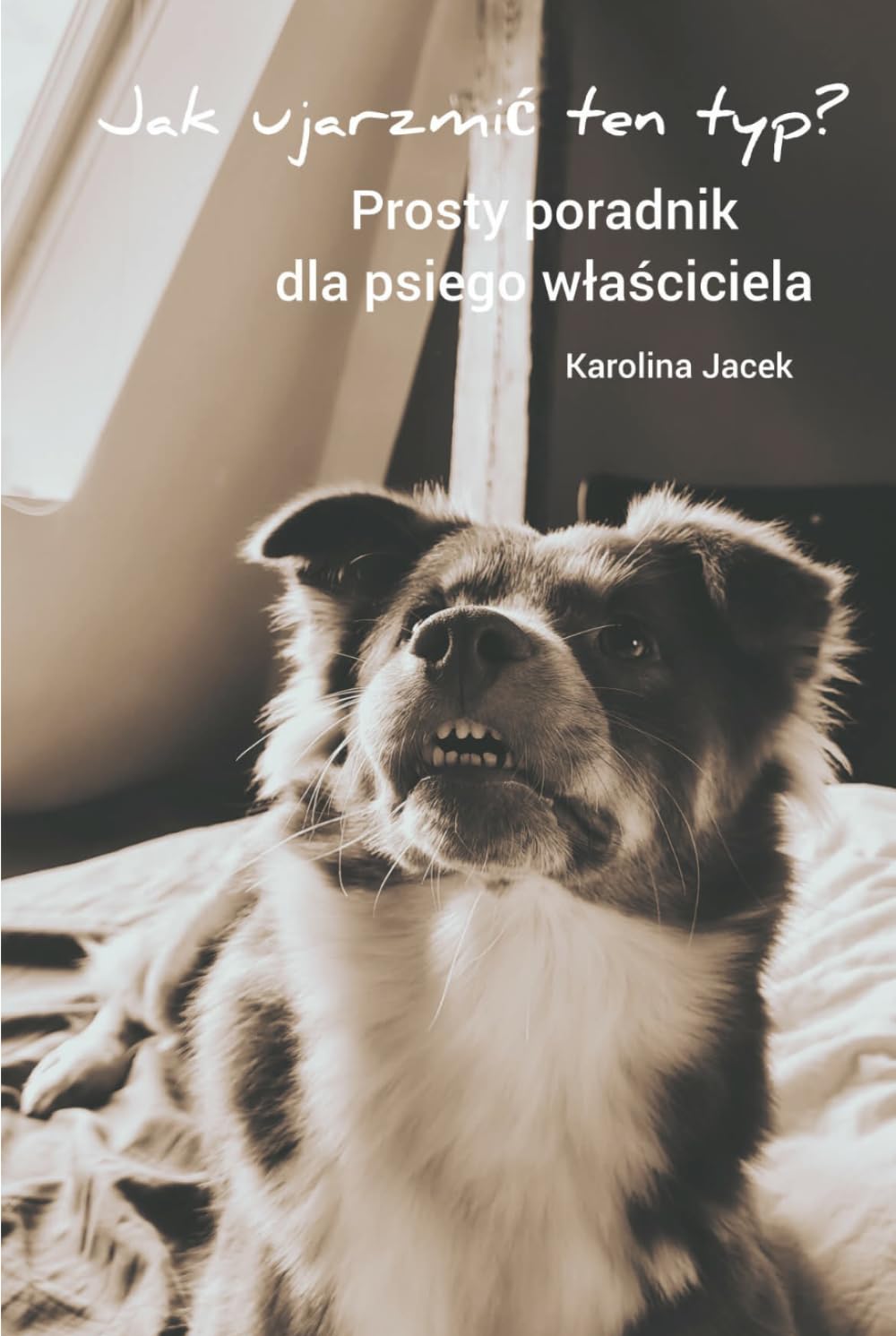 Jak ujarzmić ten typ? Prosty poradnik dla psiego właściciela