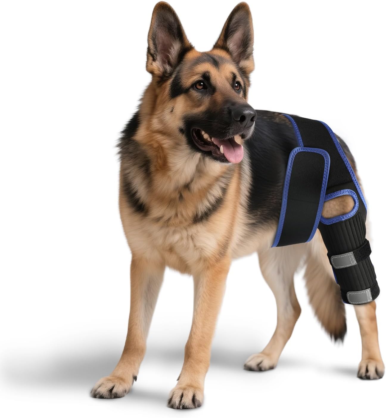 RUXAN Dog Knee Brace for Torn Acl, Dog Leg Braces for Back Leg, Knee Brace for Arthritis Pain and Support, Dogs Rear Leg Wrap Harness Set for Leg Wound Care and Lick Prevention-L