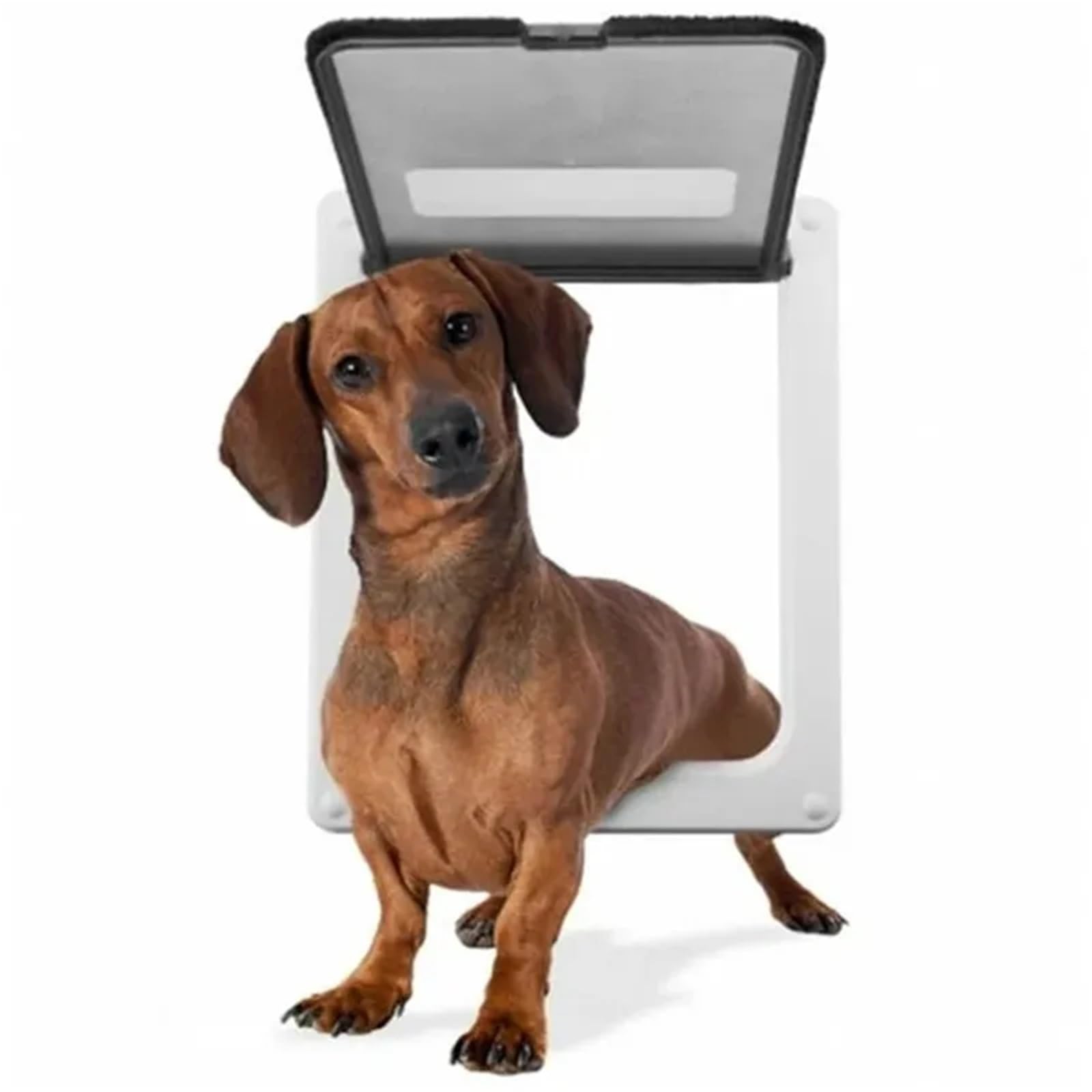 Katzenklappe Haustier-Hundekatzen schließen Hundetür automatisch, Innen- und Außentüren, Zubehör, ABS-Kunststoff, wetterfest, abschließbar, sicher(White,S)