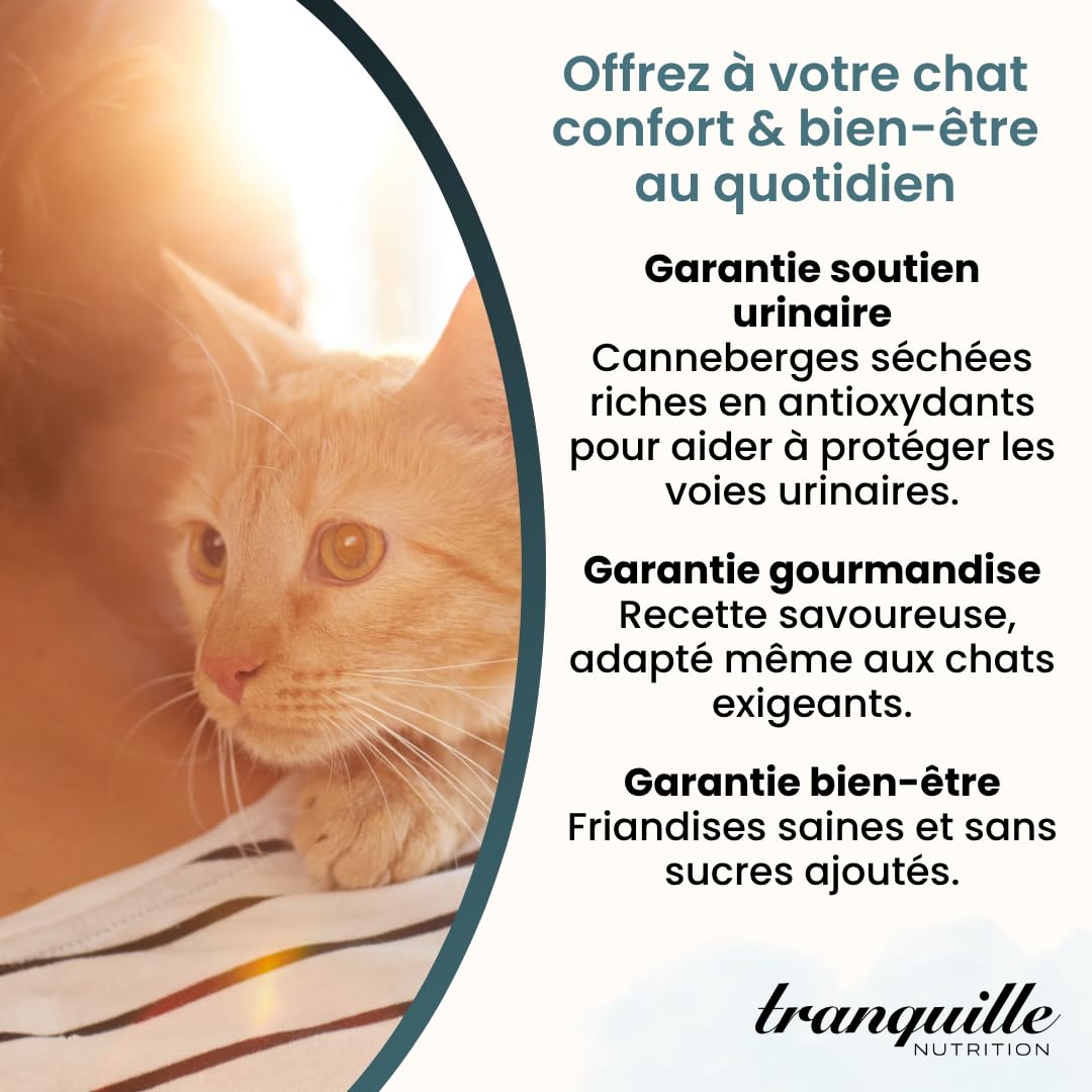 Tranquilo Crunch' Experto Urinario para Gato (40 x 60 g) | Dulces de Arándano Seco | Apoyo al Sistema Urinario | Croqueta Gato | Prevención de Infecciones | Snack Bienestar sin Azúcares