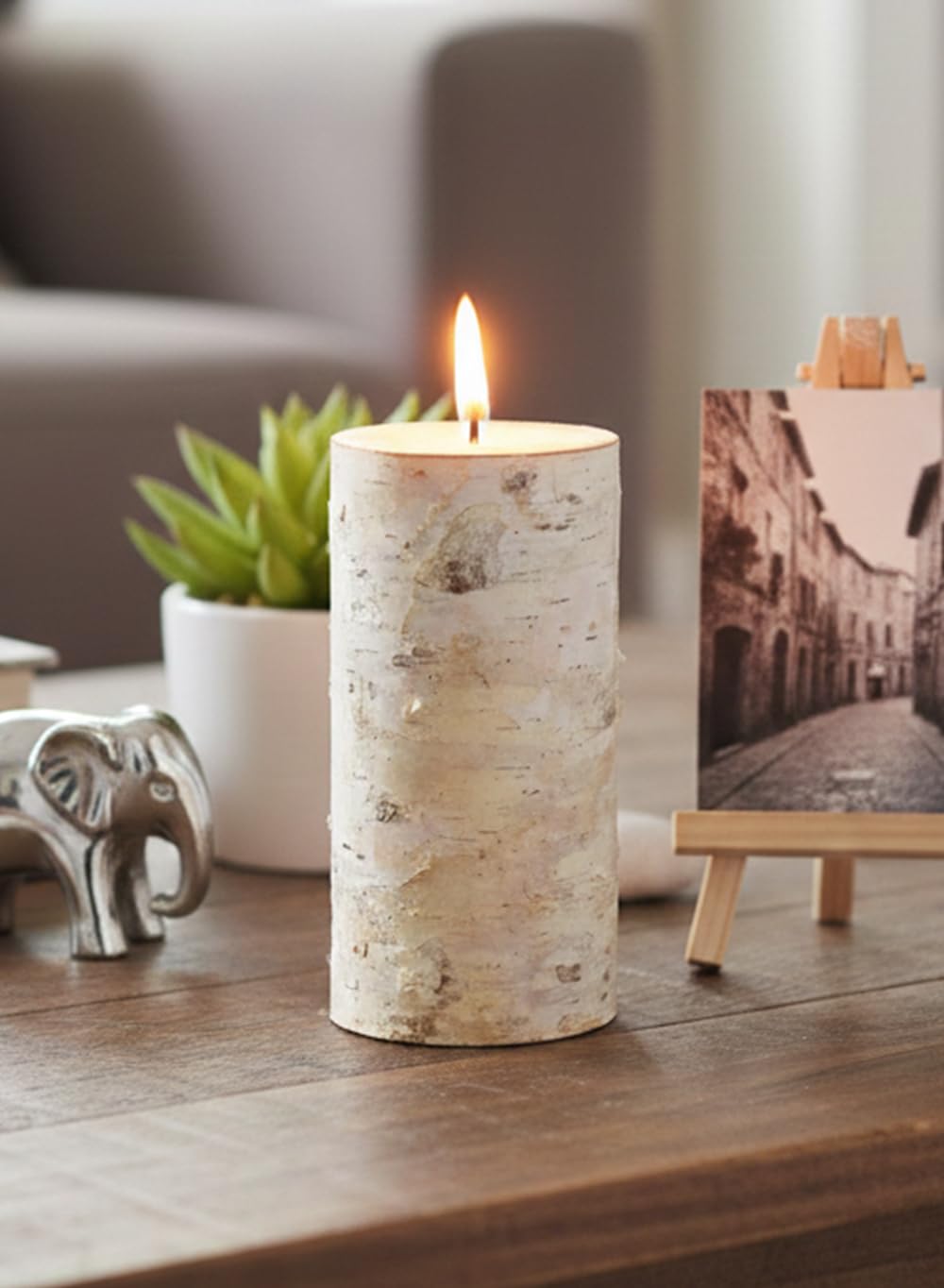 Serene Spaces Living Świeca z kory brzozowej, zestaw 3 sztuk, średniej wielkości świeca w stylu filarowym, przynosi naturę do wnętrz, średnica 7,6 cm i wysokość 14,6 cm