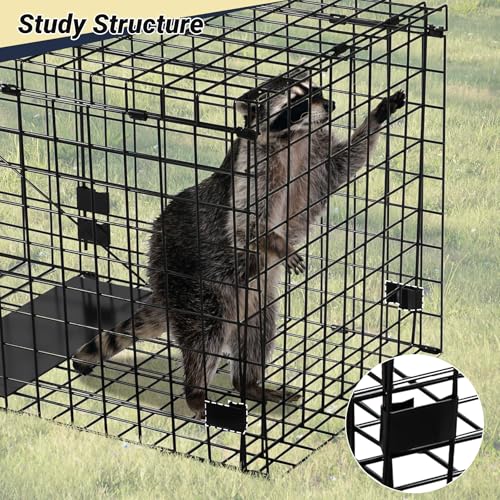 Humane Large Animal Trap Black 42 x 15.7 x 17.7 inch, Easy to Set & Release Animal Trap Cage, Collapsible Live Traps for Dogs, Raccoons, Foxes, Coyotes