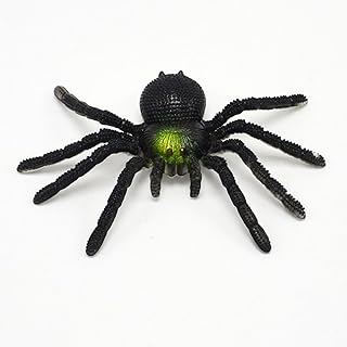 yuanxue 5pcs Realistic Spider Figures 6