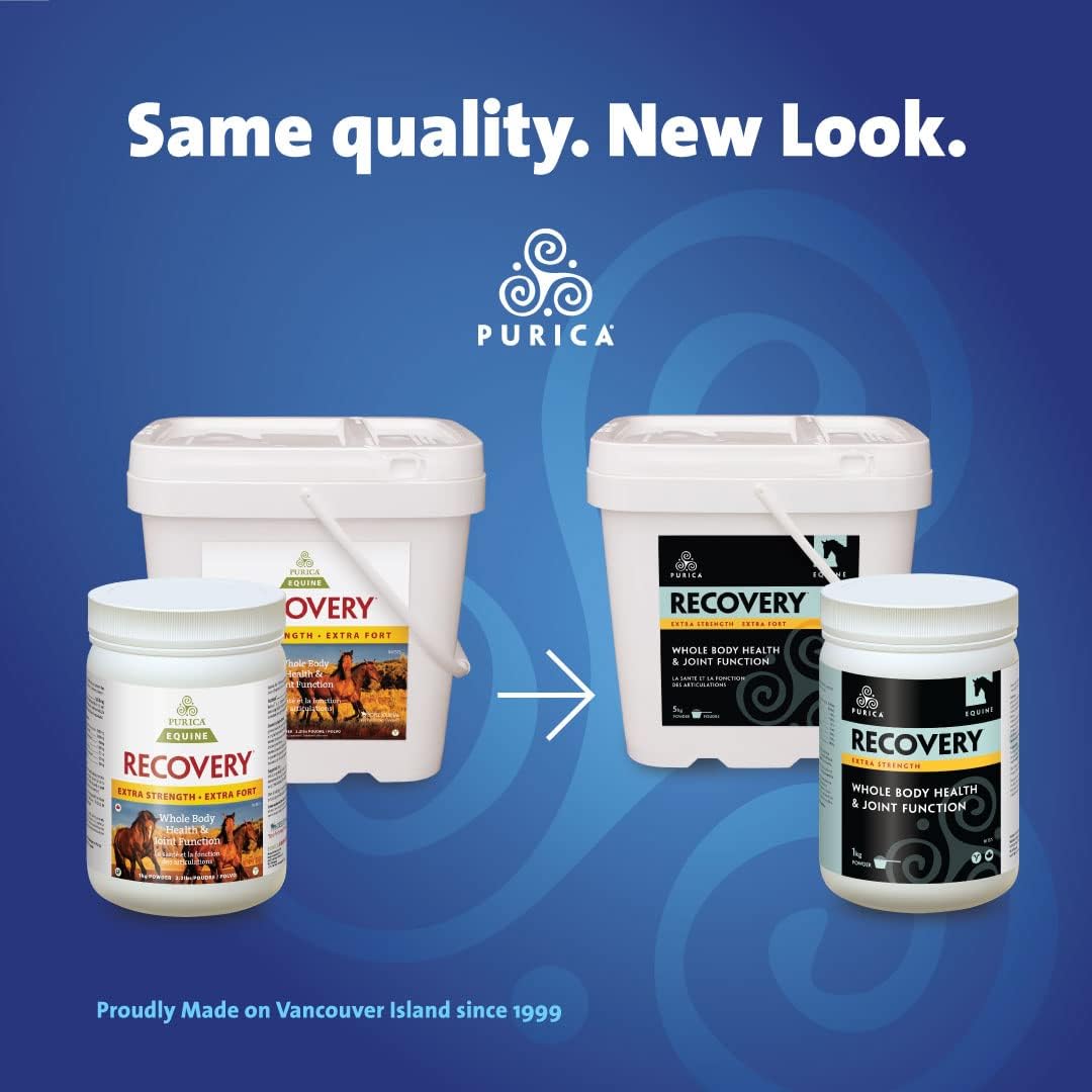 PURICA Recovery Extra Strength - Equine Joint Supplement - Comprehensive Support for Horses - Ideal Horse Joint Supplement for Senior Horses, MSM Powder Included - 11 lb Powder