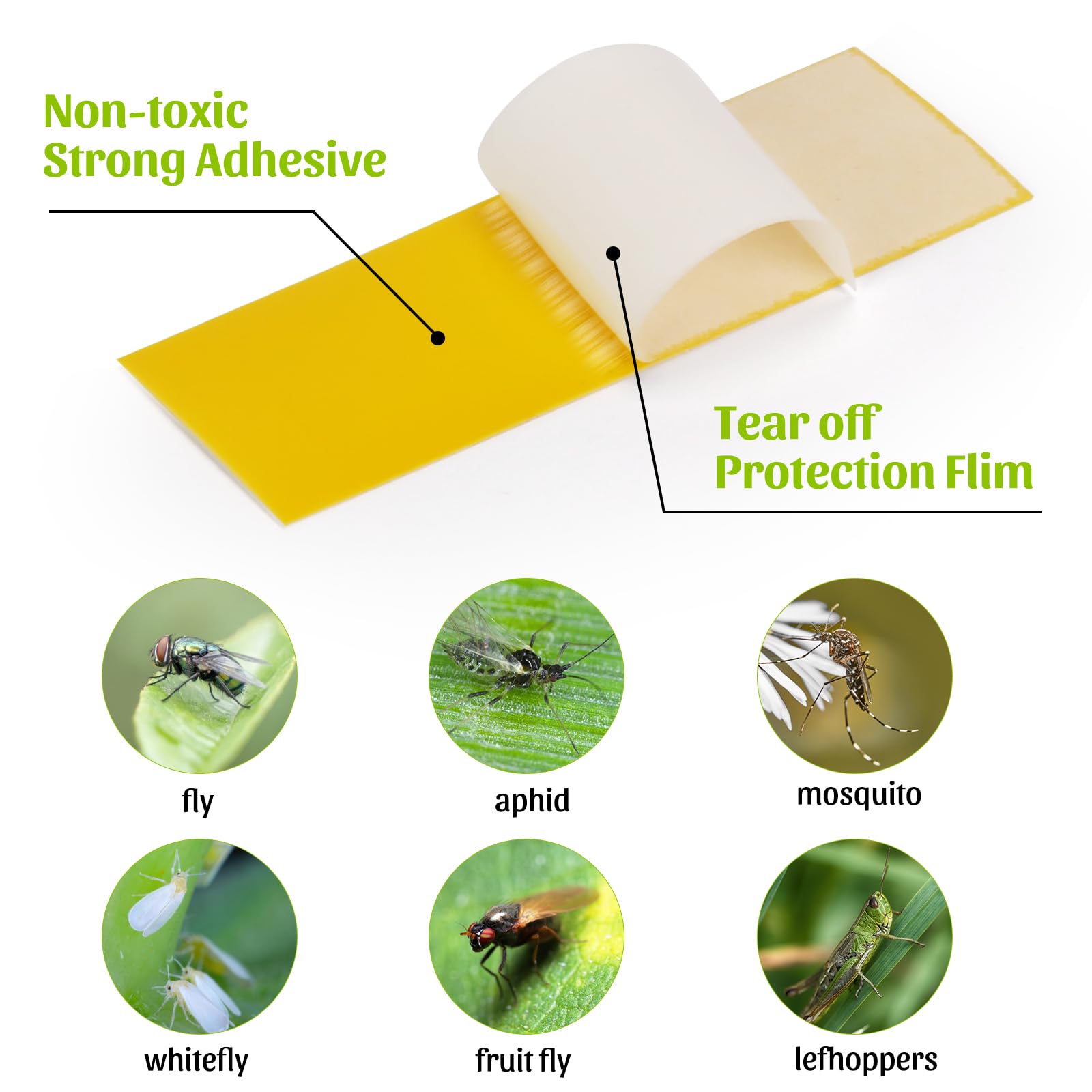 Trampas adhesivas para plantas, 100 trampas adhesivas amarillas para mosquitos de plantas en interiores y exteriores, mata mosquitos de moscas blancas, 15 soportes para estacas incluidos
