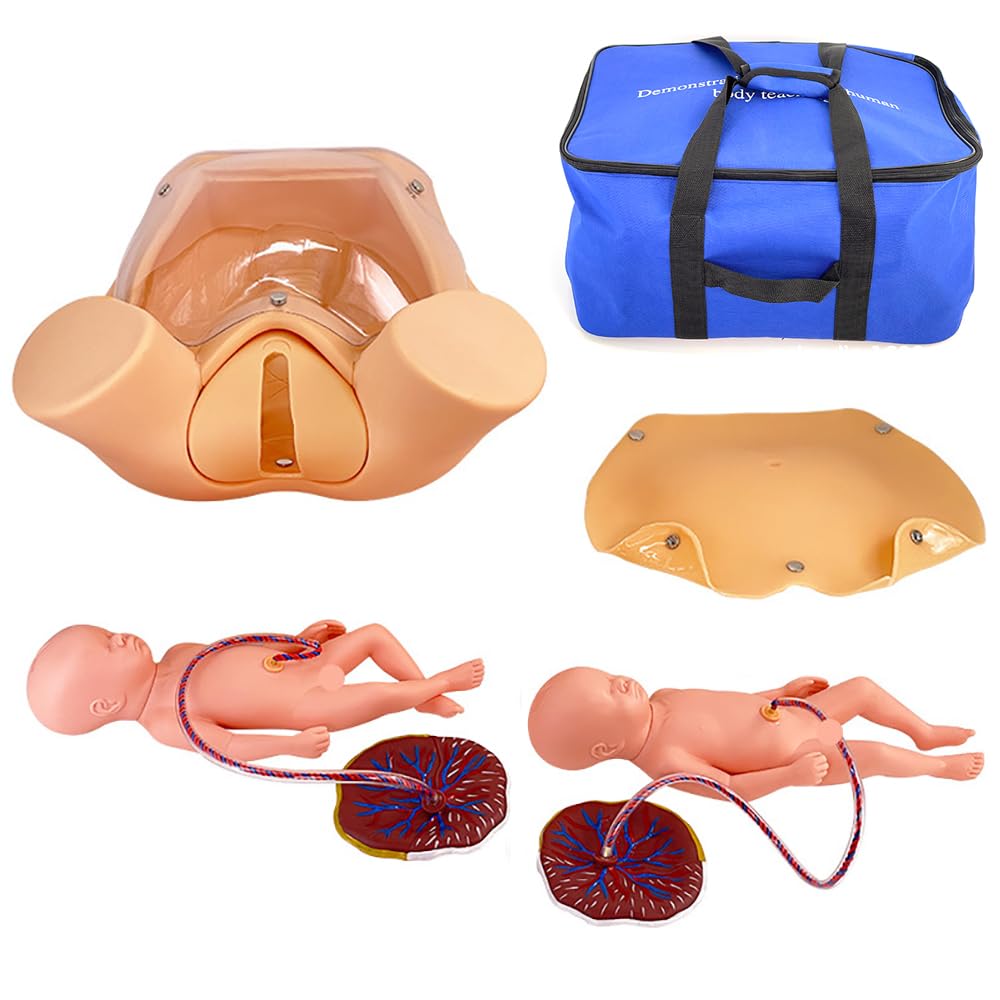 Narzędzia edukacyjne dla kobiet, 2 anatomiczne modele miednicy płodu, 2 pępowiny i łożysko, model szkoleniowy położnictwa z torbą do przenoszenia, do nauczania klinicznego, treningu