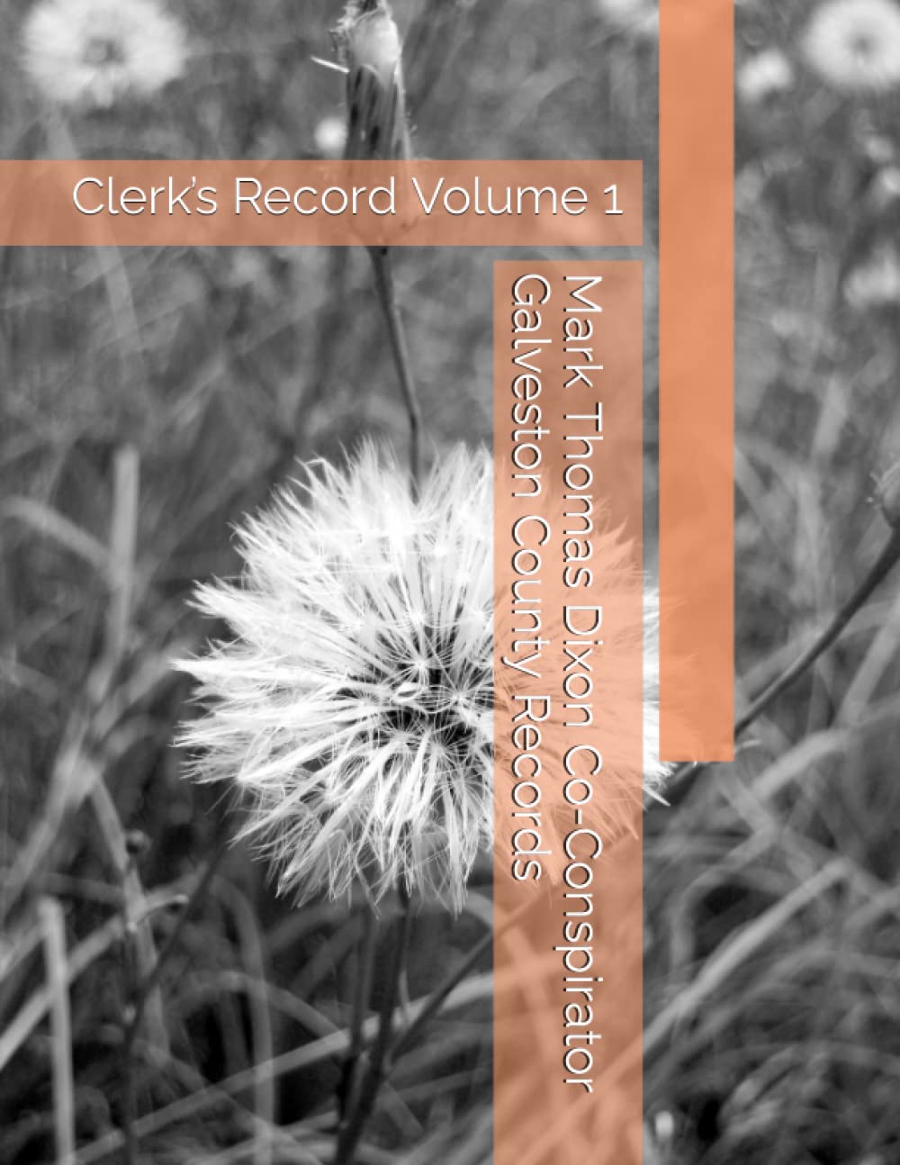 Mark Thomas Dixon Co-Conspirator Galveston County Records: Clerk’s Record Volume 1 (Barbara Holder Trial Records)