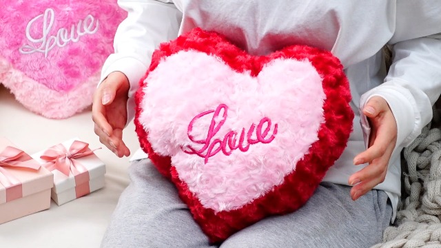Amazon.com: Beeveer 2 Pcs Valentine's Day Heart Pillows Soft Cute