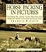 Horse Packing in Pictures (The Howell equestrian library)