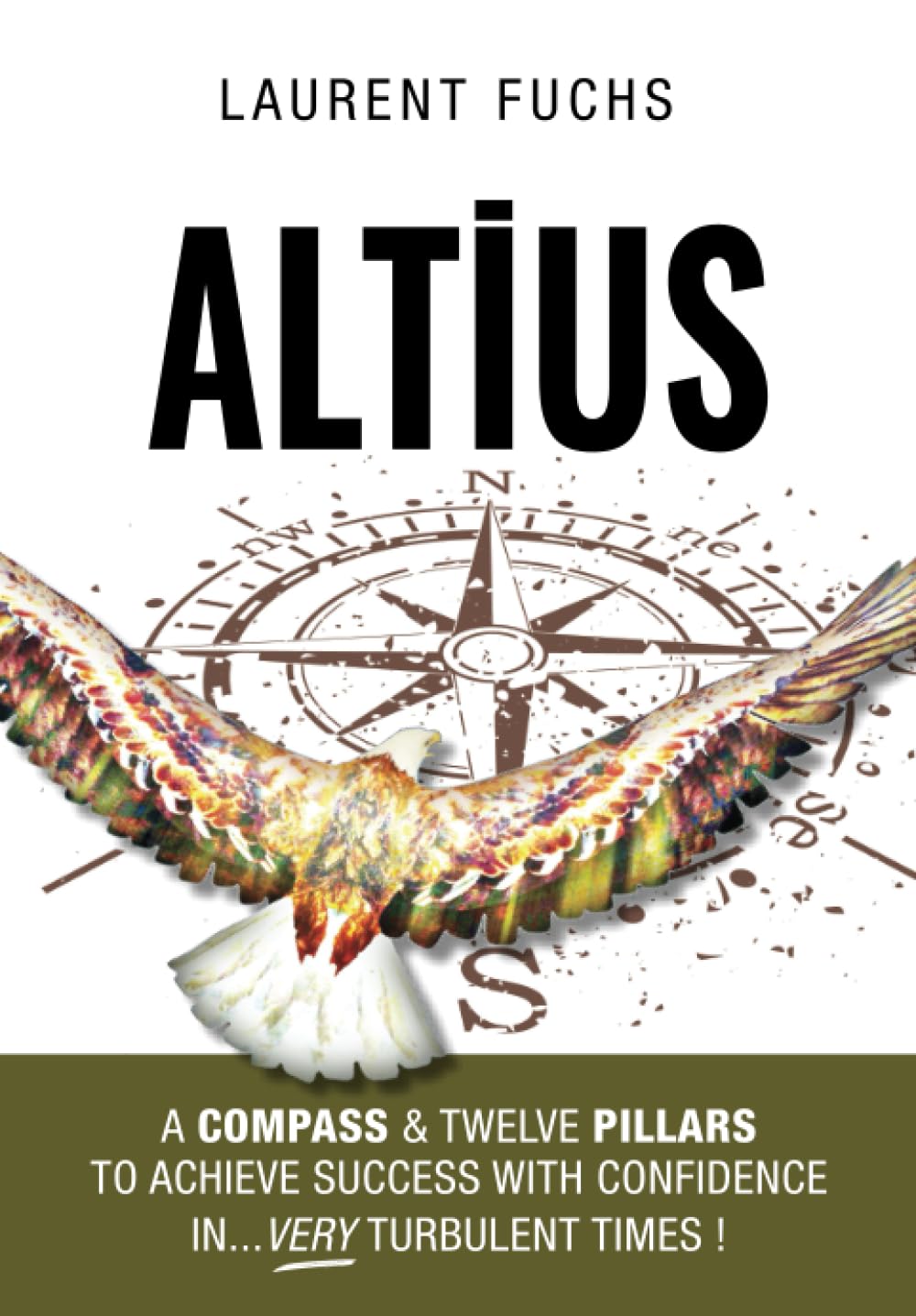 Altius: A compass & twelve pillars to achieve success with confidence in...very turbulent times !