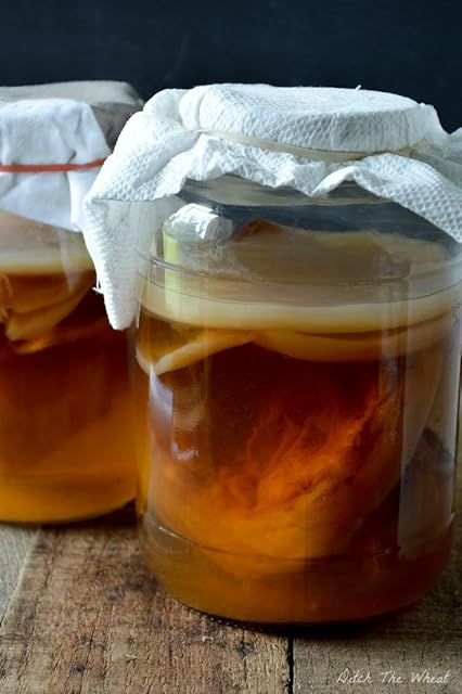 Medium Certified Organic Scoby Kombucha with Strong Liquid Starter by RawCultures® Lab Tested by UKAS LAB (ALS Global)