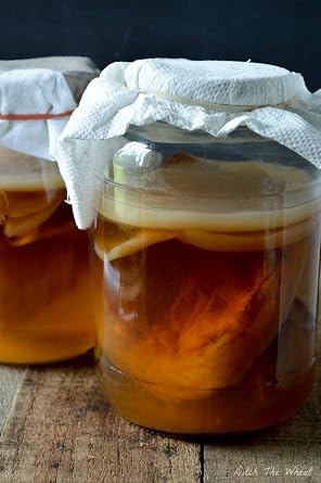 Large 3 litre Certified Organic Scoby Kombucha with strong liquid starter by RawCultures  Lab Tested by UKAS LAB ALS Global