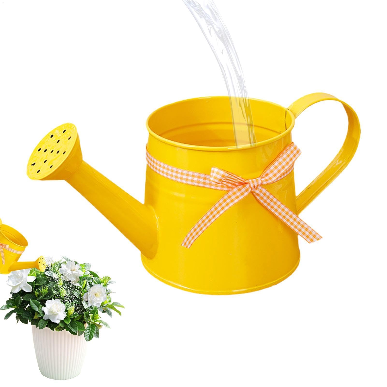 Small Iron Watering Can, 1L Metal Watering Pot, Modern Plant Waterings Can, For Home Office Balcony Garden Outdoor Indoor Bonsai Flowers