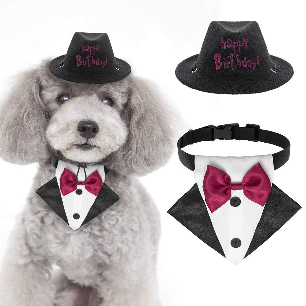 small dog birthday hat