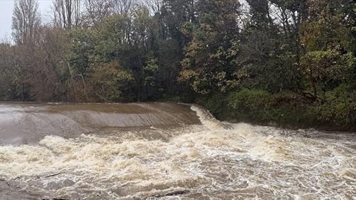 Naturescapes: Getting A Helping Hand From The Natural World