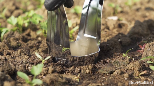 Bulb Planter para Jardín con Marca de Profundidad 4 pulgadas miniatura 7