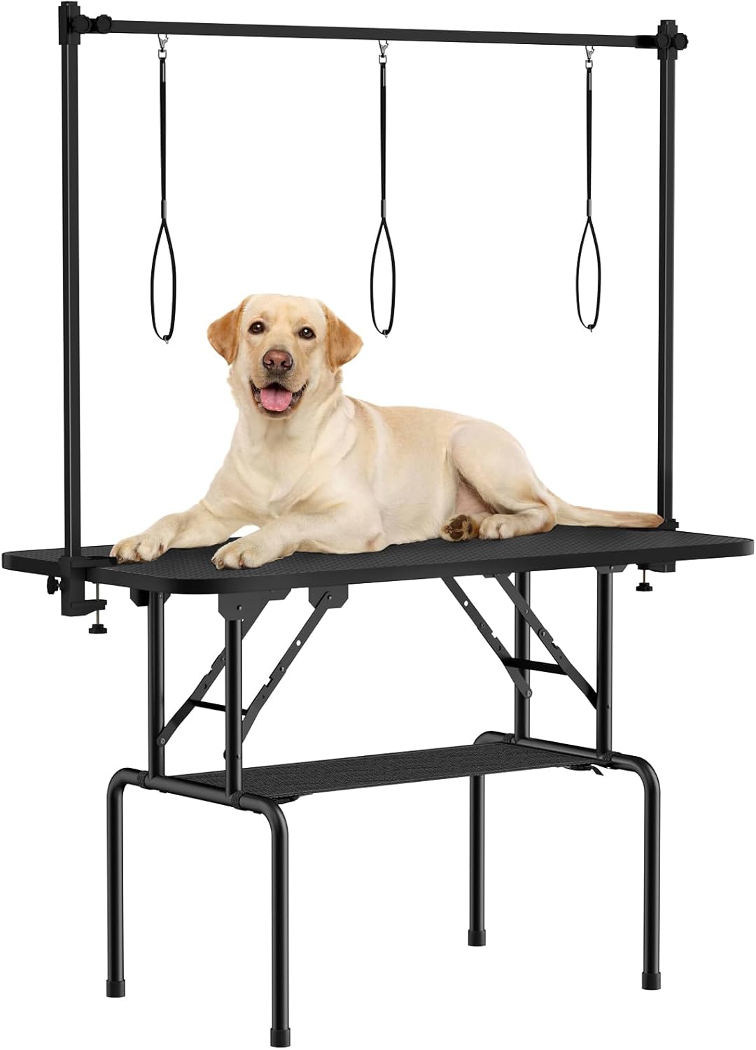 Roomtec 46 Inch Dog Grooming Table with Adjustable Arm