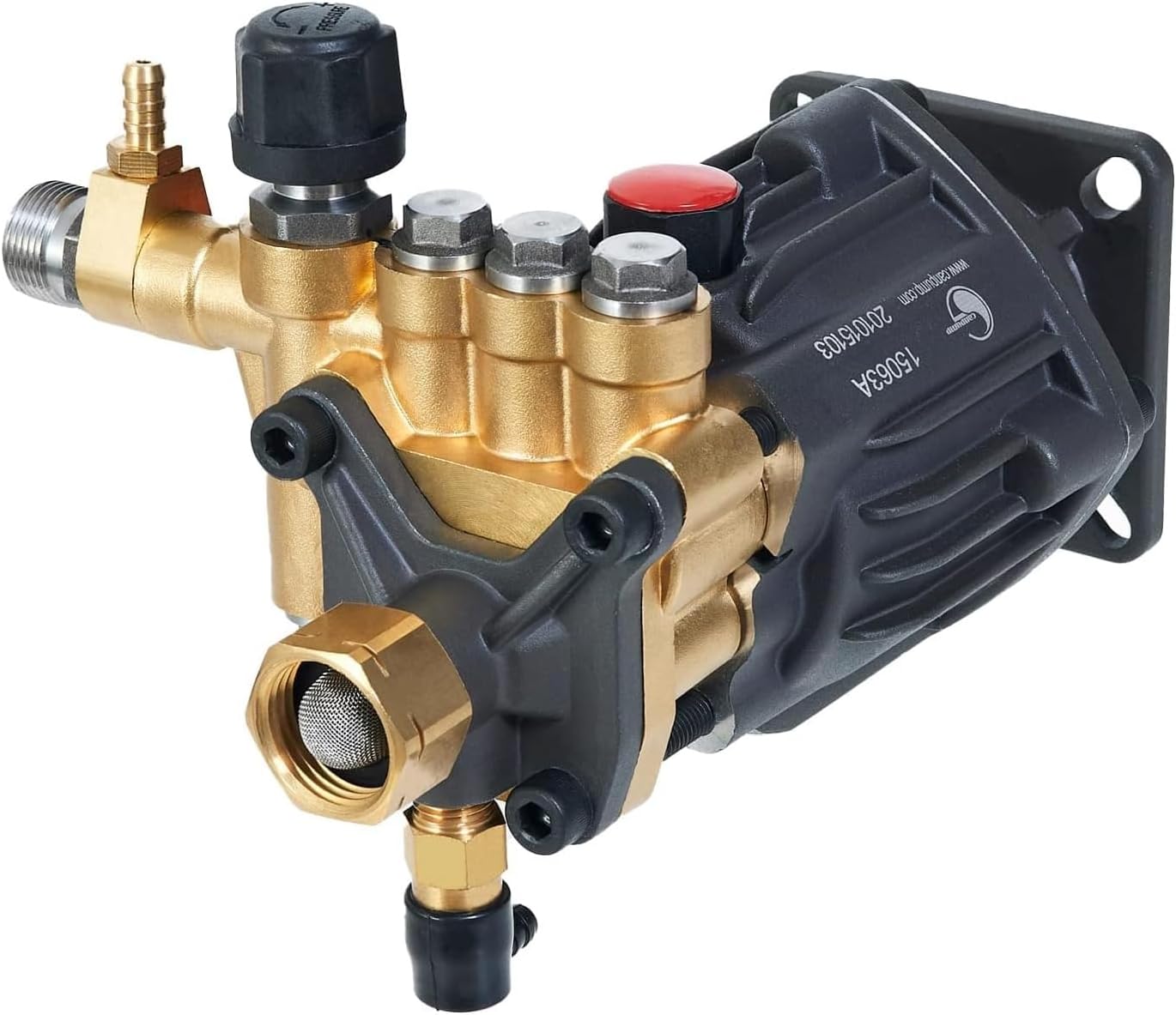 Canpump CH 2830 G: 2800 psi @ 3 US gpm Pressure Washer Replacement Pump, 3/4-inch Horizontal Gas Shaft