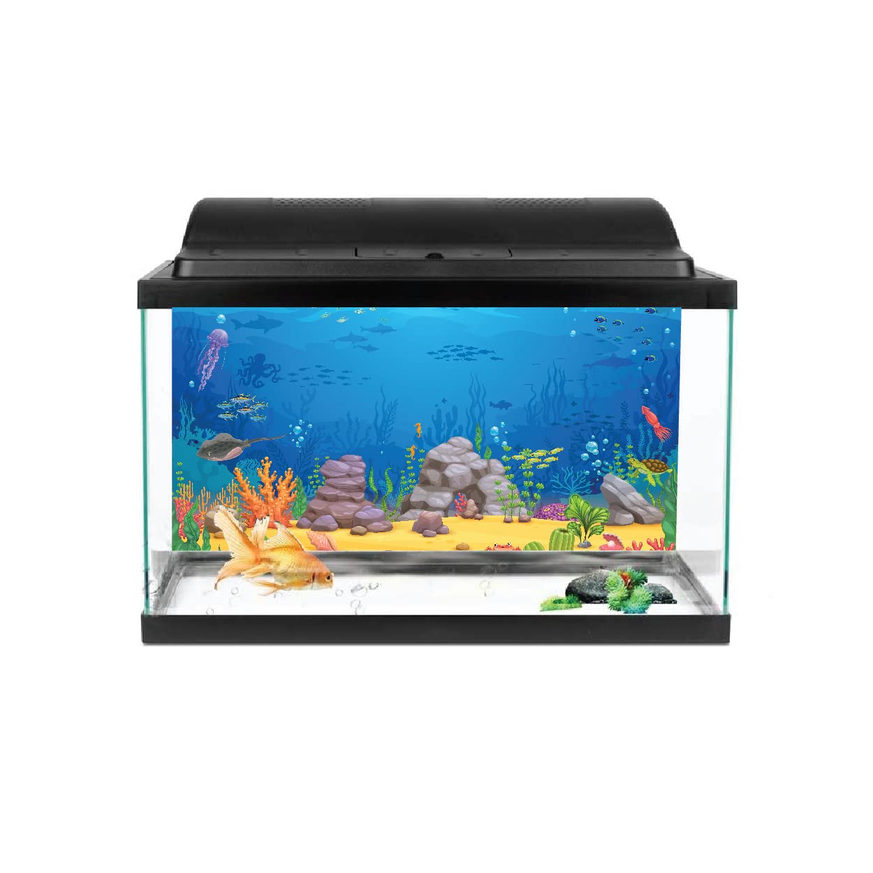 VVWV Glass Fish World Aquarium Background Colourfull Stickers for Fish Tank Waterproof Vinyl Printed (B0BWFHWH4P) Amazon Price History, Amazon Price Tracker
