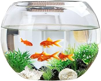 「SALE‼️」新入荷フィッシュボール(天然木ガラス水槽)2XL黒珊瑚 Amazon | ガラス水槽 透明水槽 リビング用ボール水槽 小型金魚水槽 大