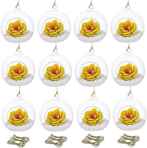 Miniatura 8 de NUPTIO 4 plantas colgantes de terrario de vidrio, 4 pulgadas de diámetro, terrario colgante de vidrio de terrario, terrarios de vidrio para plantas