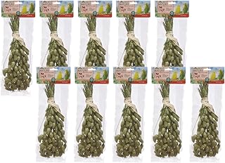 Dehner Best Nature Vogelsnack, Kanariensaat für Ziervögel, 100 % natürliche Ährenstücke, 10 x 50 g (500 g) product image
