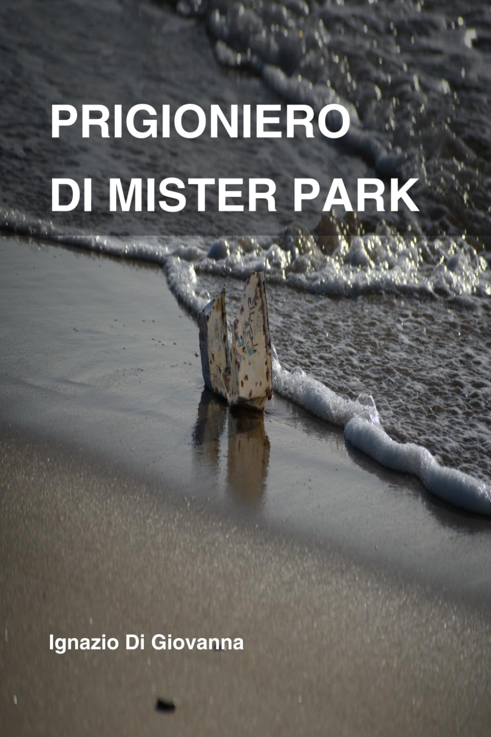 Prigioniero di Mister Park