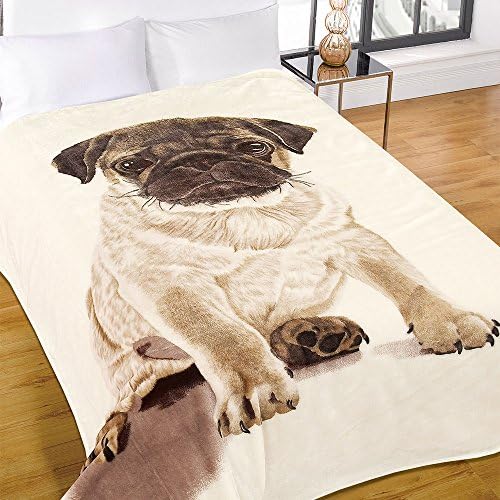 Dreamscene Pug Fleece Throw Over Warm Soft Puppy Dog Bed Blanket Large 120 x 150 cm